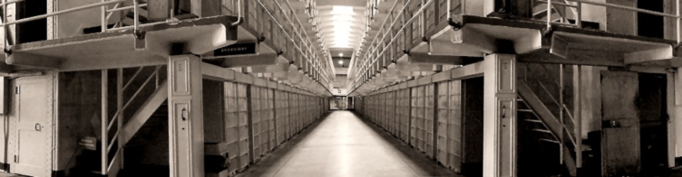 CellDetect Applications